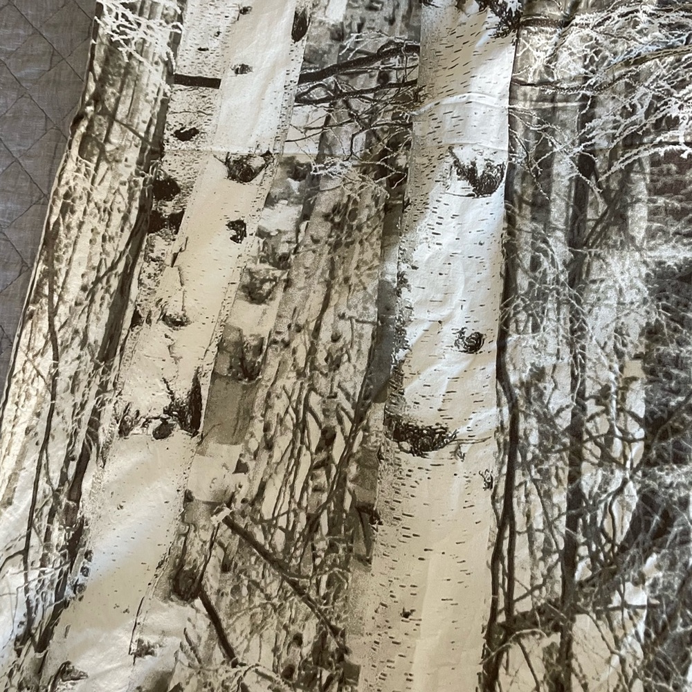 Pottery Barn Birch Tree Twin Duvet Cover